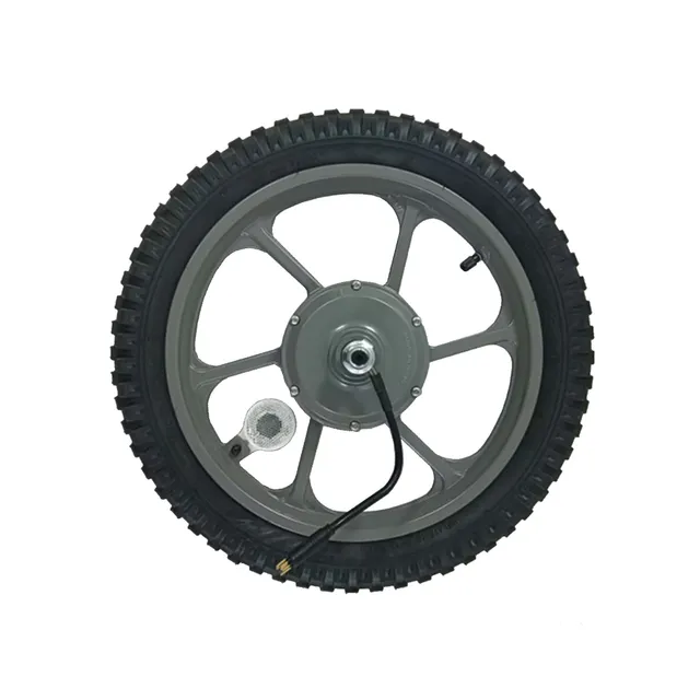 gotrax-fitz16-astra-roue-moteur-arri-re-16-grise image 1