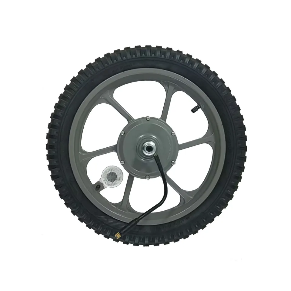 gotrax-fitz16-astra-roue-moteur-arri-re-16-grise image 1
