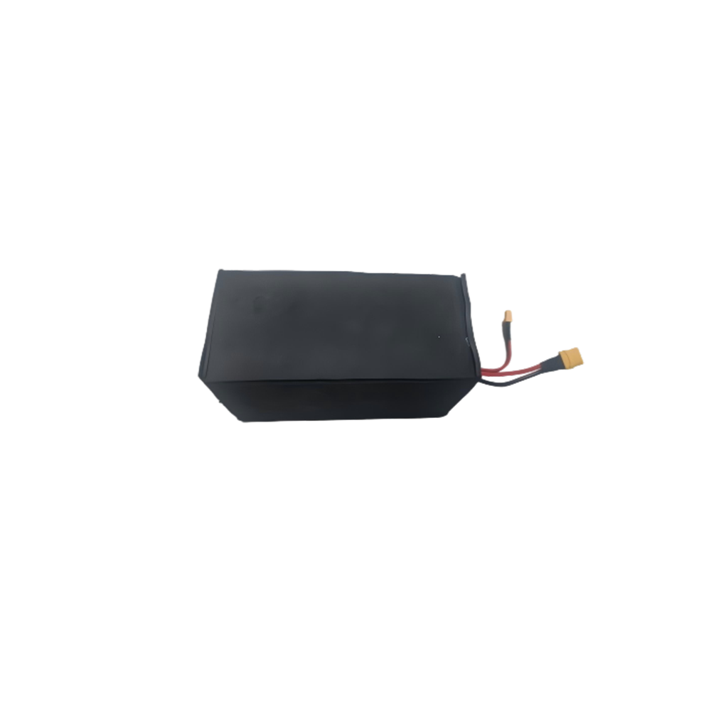 inmotion-e20-batterie-assembl-e-draisienne image 1
