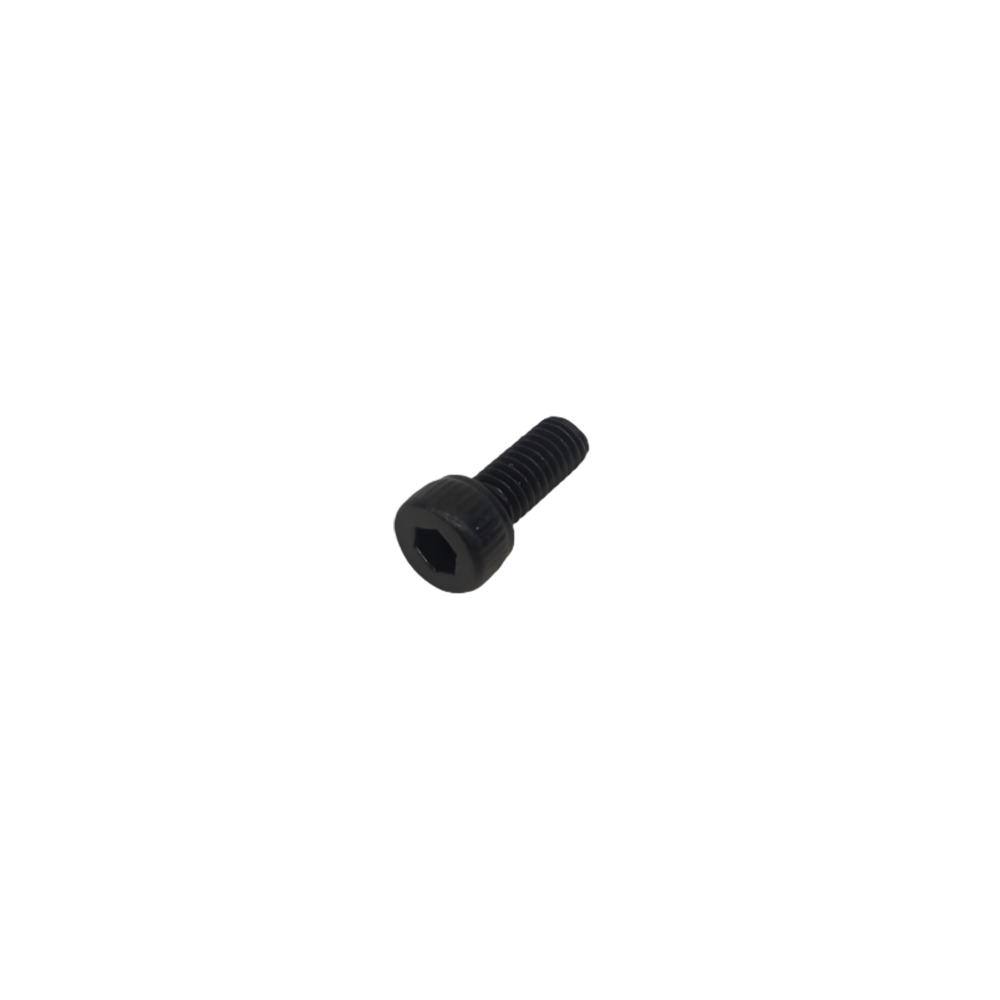 inmotion-e20-vis-hexagonale-m4x10-piece image 1