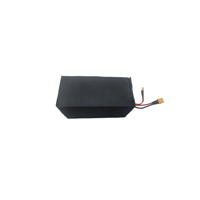 inmotion-e20-batterie-assembl-e-draisienne image 1
