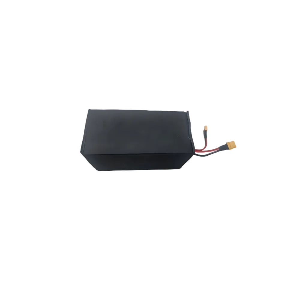 inmotion-e20-batterie-assembl-e-draisienne image 1