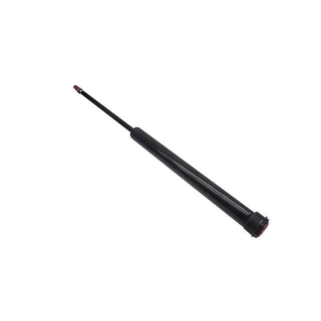 inmotion-v11-v-rin-gaz-suspension-gyroroue-origine image 1