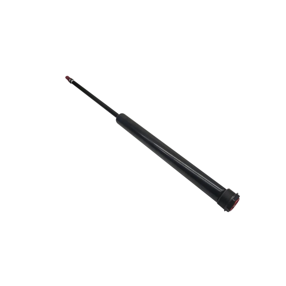 inmotion-v11-v-rin-gaz-suspension-gyroroue-origine image 1